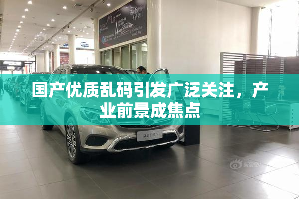 国产优质乱码引发广泛关注，产业前景成焦点