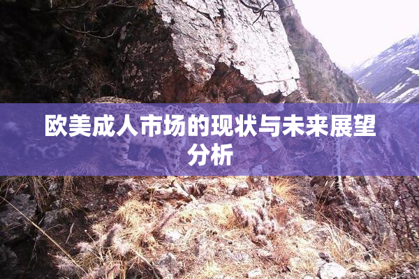 欧美成人市场的现状与未来展望分析