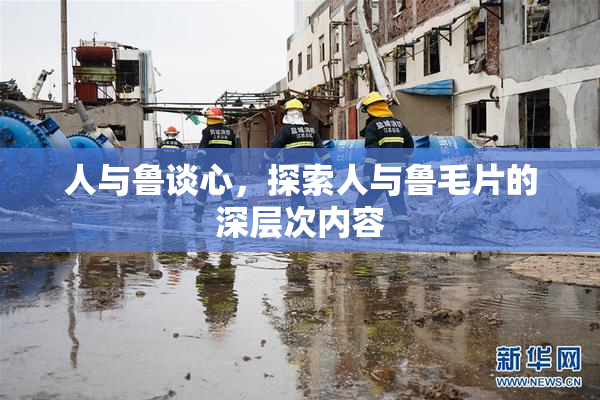 人与鲁谈心，探索人与鲁毛片的深层次内容