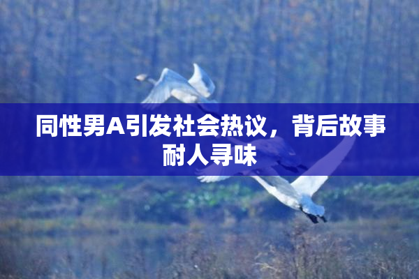 同性男A引发社会热议，背后故事耐人寻味
