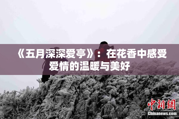《五月深深爱亭》：在花香中感受爱情的温暖与美好