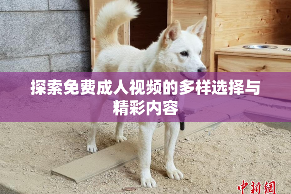 探索免费成人视频的多样选择与精彩内容