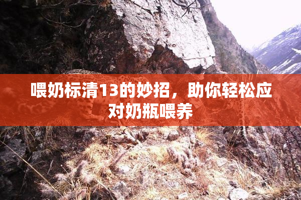 喂奶标清13的妙招，助你轻松应对奶瓶喂养