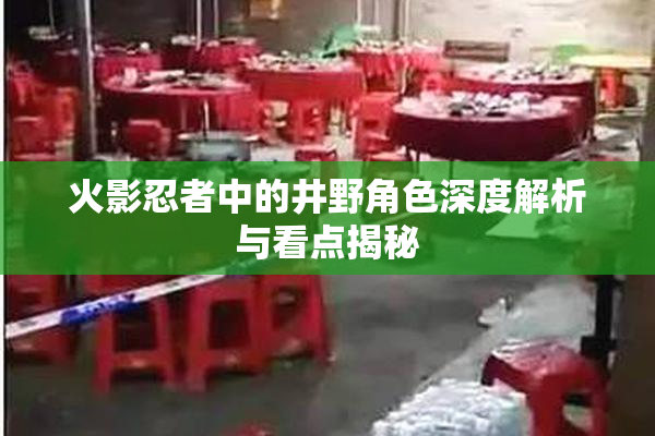 火影忍者中的井野角色深度解析与看点揭秘