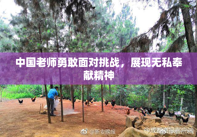 中国老师勇敢面对挑战，展现无私奉献精神