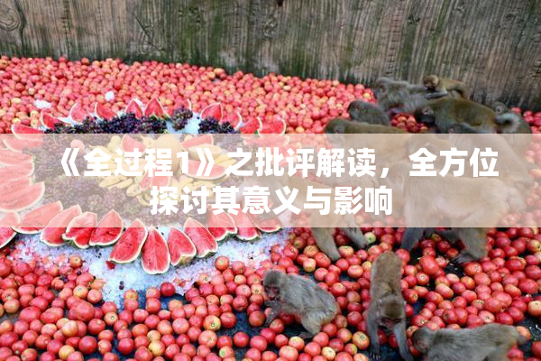 《全过程1》之批评解读，全方位探讨其意义与影响