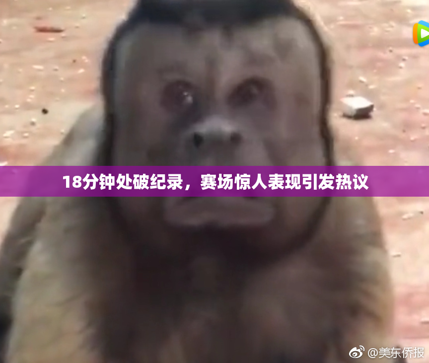 18分钟处破纪录，赛场惊人表现引发热议