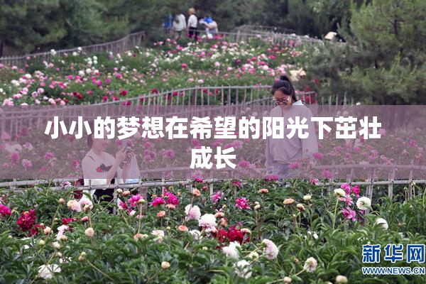 小小的梦想在希望的阳光下茁壮成长