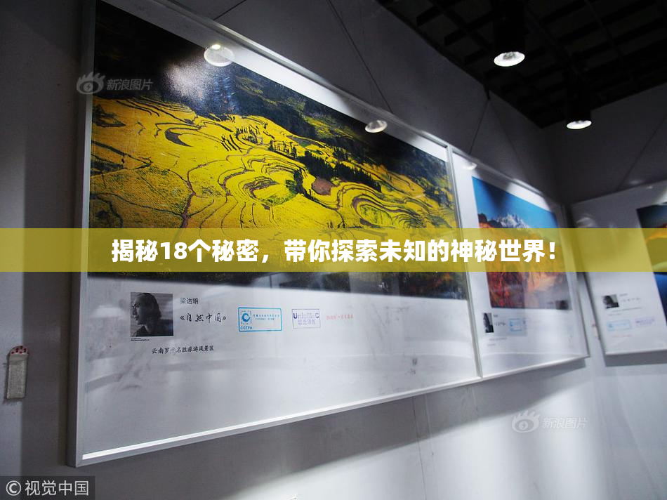 揭秘18个秘密，带你探索未知的神秘世界！