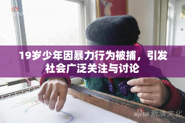 19岁少年因暴力行为被捕，引发社会广泛关注与讨论