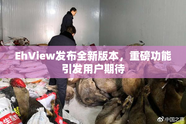 EhView发布全新版本，重磅功能引发用户期待