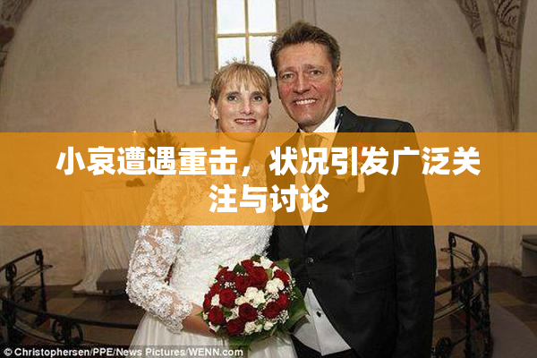 小哀遭遇重击，状况引发广泛关注与讨论