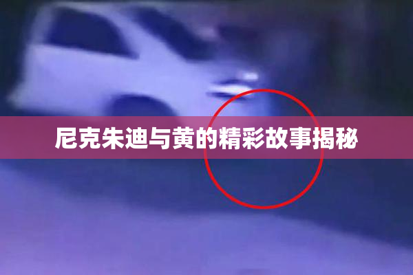 尼克朱迪与黄的精彩故事揭秘