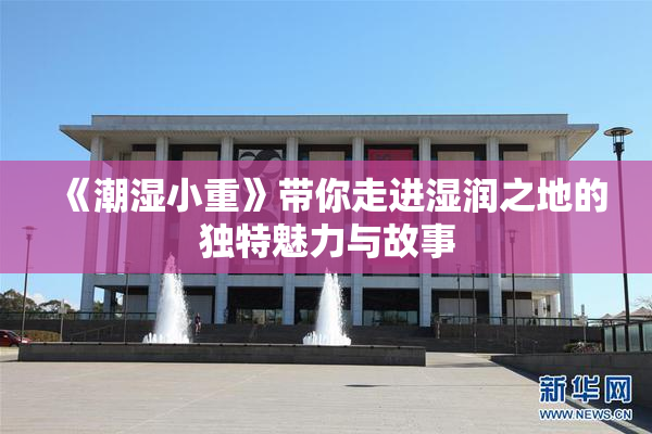 《潮湿小重》带你走进湿润之地的独特魅力与故事