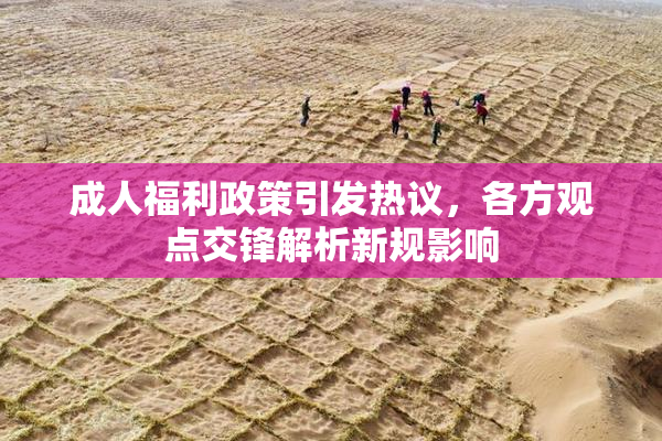 成人福利政策引发热议，各方观点交锋解析新规影响