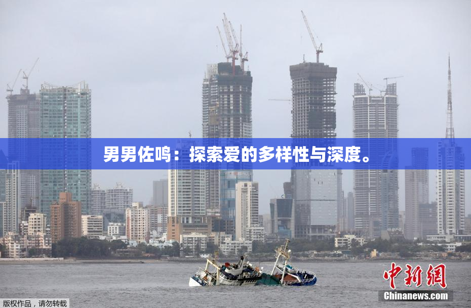 男男佐鸣：探索爱的多样性与深度。