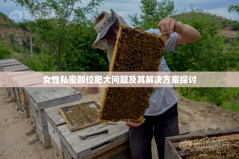 女性私密部位肥大问题及其解决方案探讨