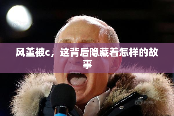 风堇被c，这背后隐藏着怎样的故事