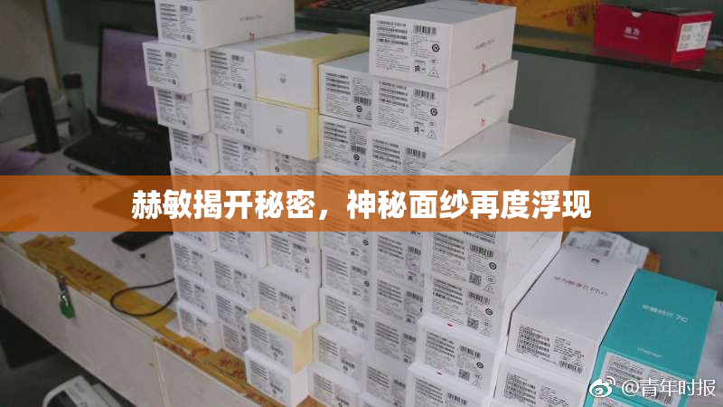 赫敏揭开秘密，神秘面纱再度浮现