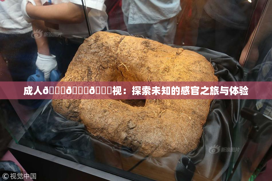 成人🍆🍑🔞视：探索未知的感官之旅与体验