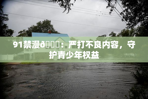 91禁漫🍆：严打不良内容，守护青少年权益