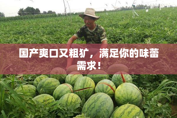 国产爽口又粗犷，满足你的味蕾需求！