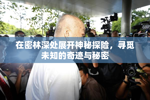 在密林深处展开神秘探险，寻觅未知的奇迹与秘密