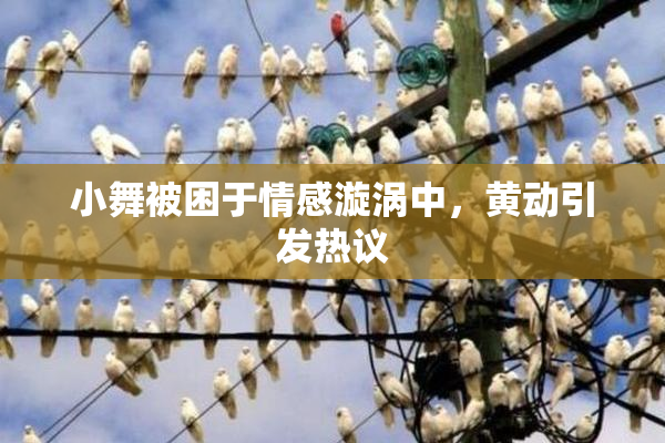 小舞被困于情感漩涡中，黄动引发热议