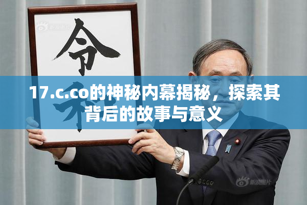 17.c.co的神秘内幕揭秘，探索其背后的故事与意义