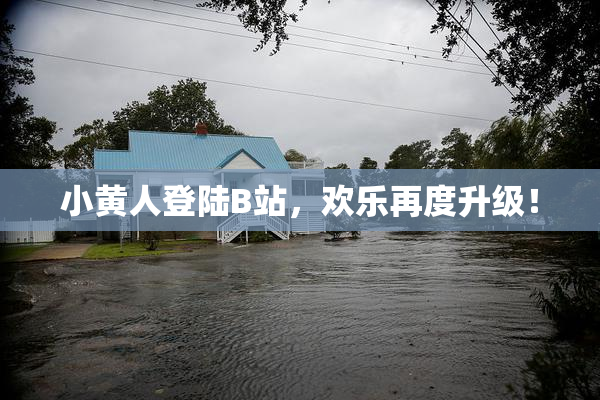 小黄人登陆B站，欢乐再度升级！