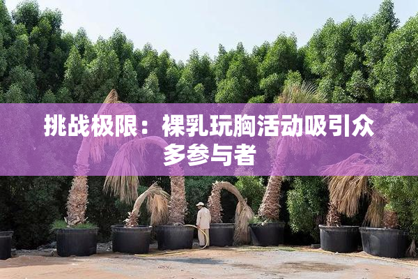 挑战极限：裸乳玩胸活动吸引众多参与者