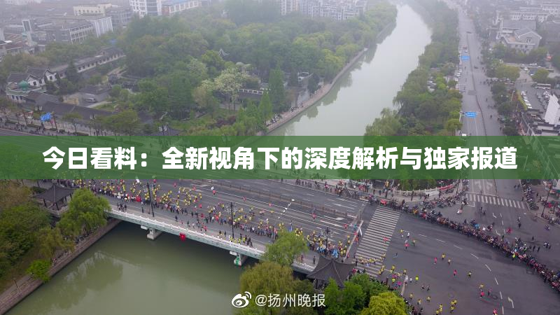 今日看料：全新视角下的深度解析与独家报道