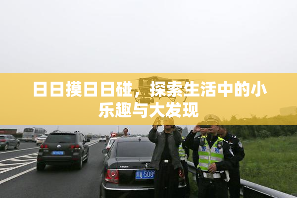 日日摸日日碰，探索生活中的小乐趣与大发现