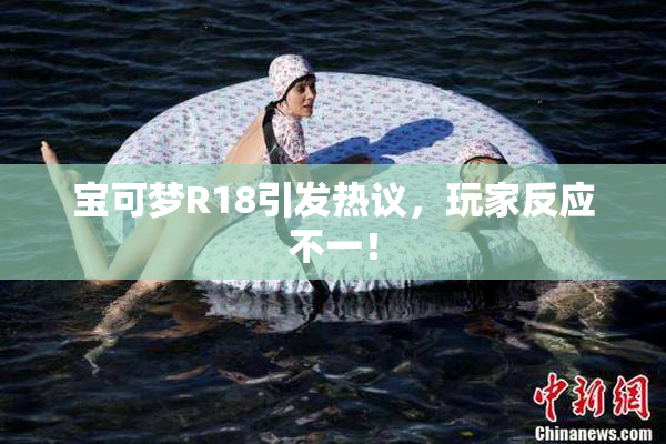 宝可梦R18引发热议，玩家反应不一！