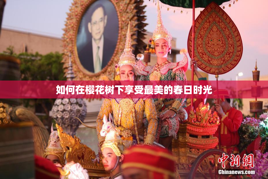 如何在樱花树下享受最美的春日时光