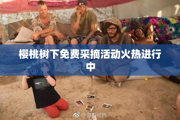 樱桃树下免费采摘活动火热进行中