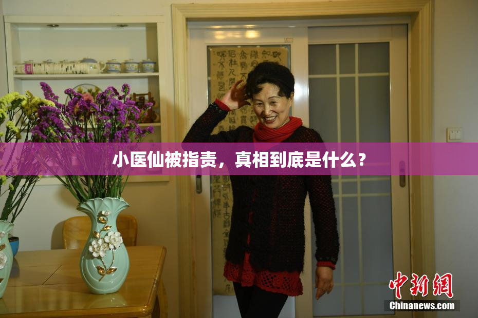 小医仙被指责，真相到底是什么？