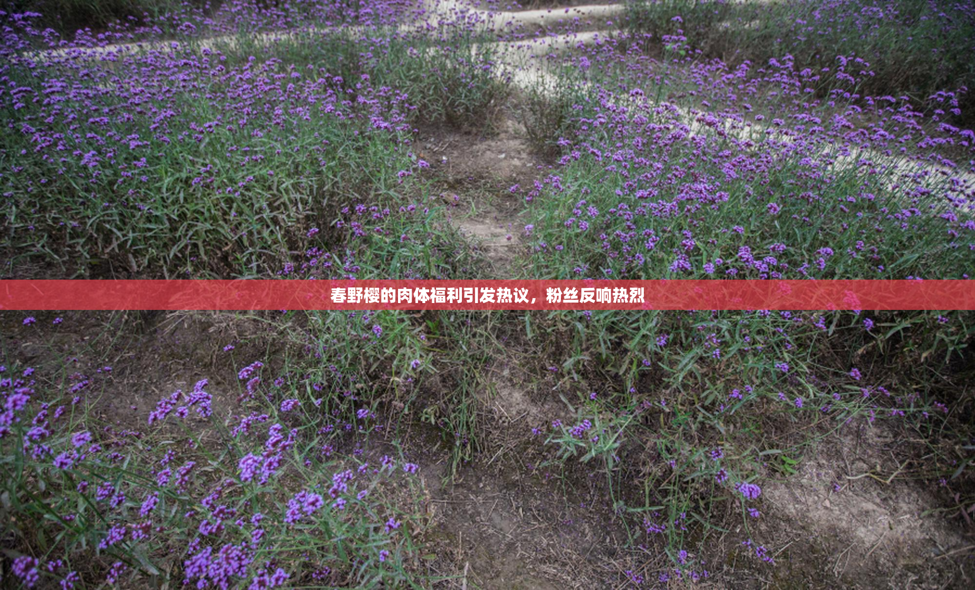 春野樱的肉体福利引发热议，粉丝反响热烈