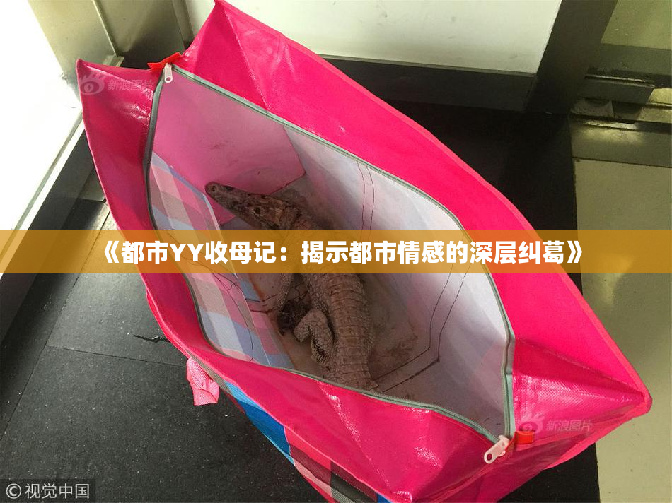 《都市YY收母记：揭示都市情感的深层纠葛》