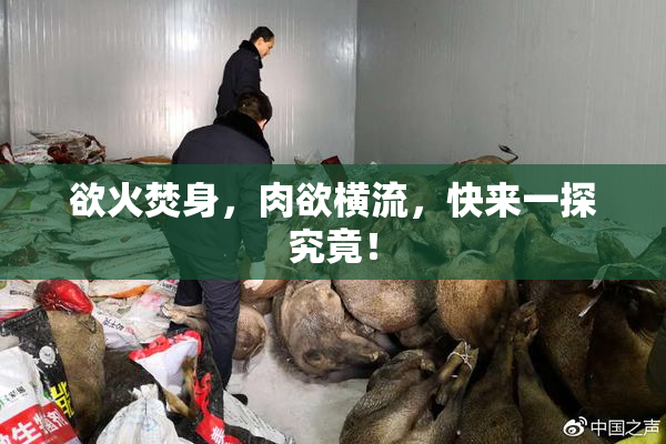 欲火焚身，肉欲横流，快来一探究竟！