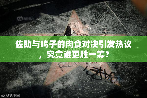 佐助与鸣子的肉食对决引发热议，究竟谁更胜一筹？