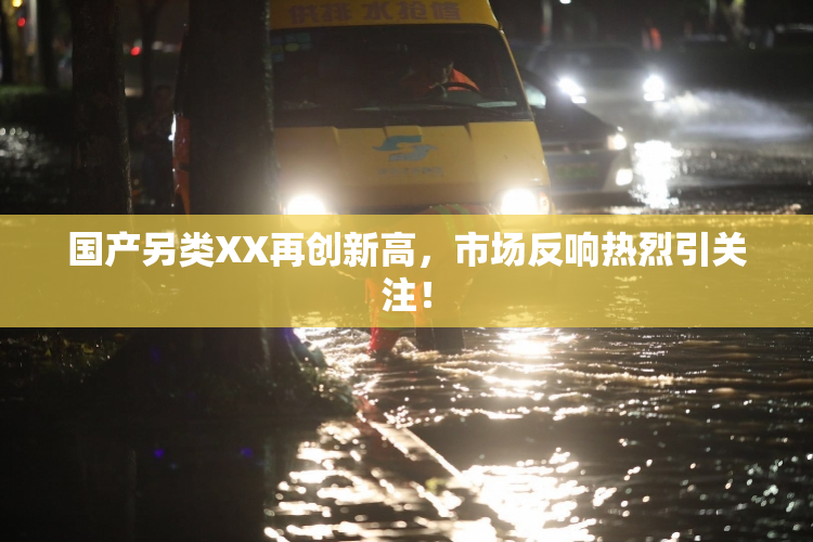 国产另类XX再创新高，市场反响热烈引关注！
