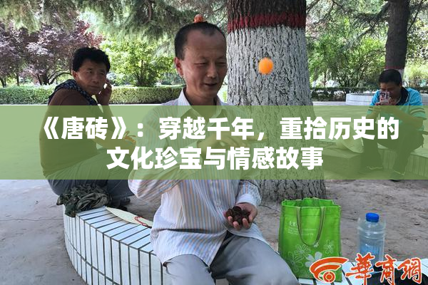 《唐砖》：穿越千年，重拾历史的文化珍宝与情感故事