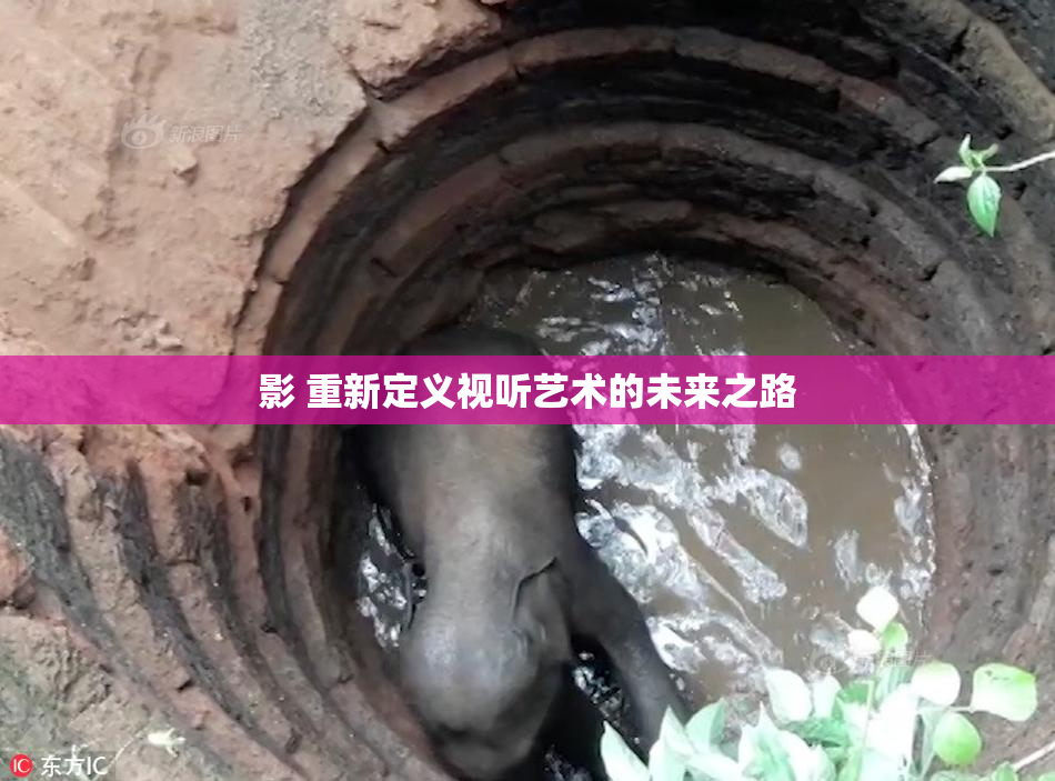 影 重新定义视听艺术的未来之路