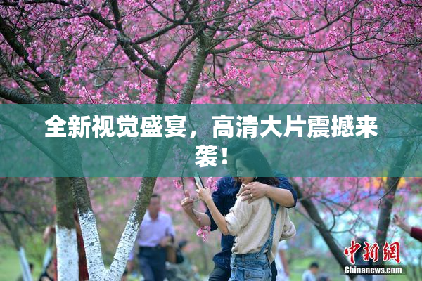 全新视觉盛宴，高清大片震撼来袭！