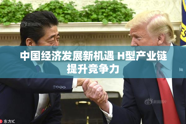 中国经济发展新机遇 H型产业链提升竞争力