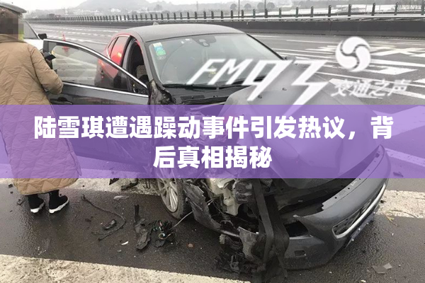 陆雪琪遭遇躁动事件引发热议，背后真相揭秘