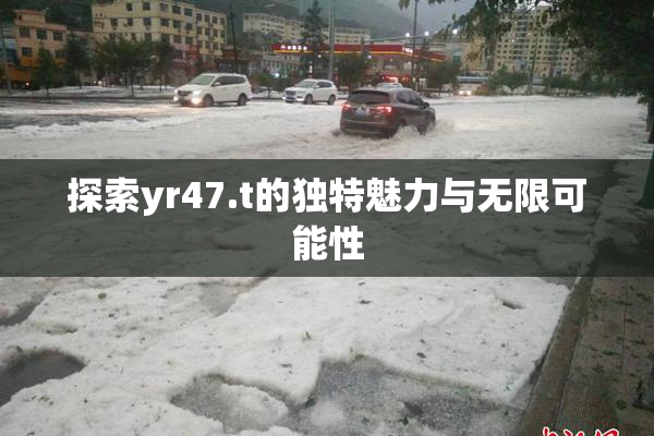 探索yr47.t的独特魅力与无限可能性