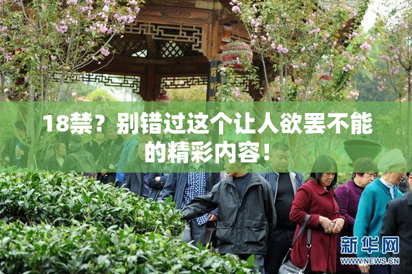 18禁？别错过这个让人欲罢不能的精彩内容！