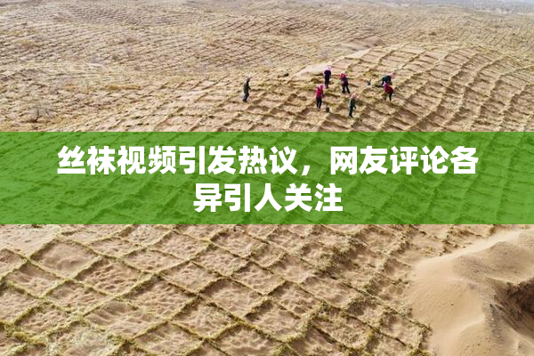 丝袜视频引发热议，网友评论各异引人关注
